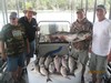 (08/29/2017) - Nice Striped Bass